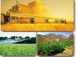 Tarım sektörü, son 14 çeyrekte kesintisiz büyüdü